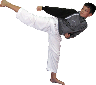 taekwondo kwon mario